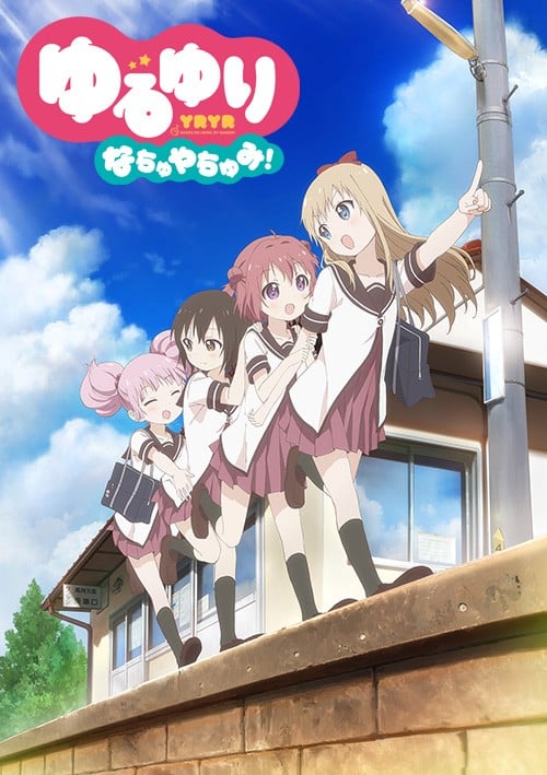摇曳百合 夏日时光!